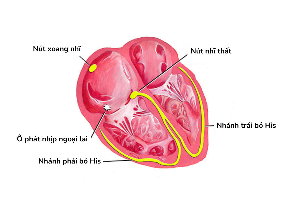 ngoai tam thu nhi 1